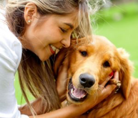  寵物溝通教學、寵物溝通推薦、寵物溝通自學