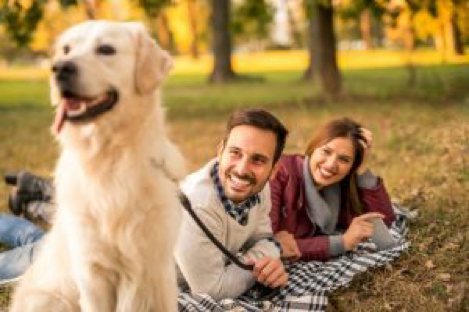  寵物溝通教學、動物溝通、寵物溝通自學