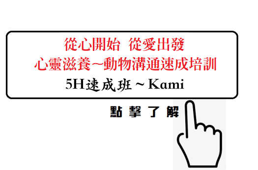 動物溝通、kami、動物溝通速成班培訓