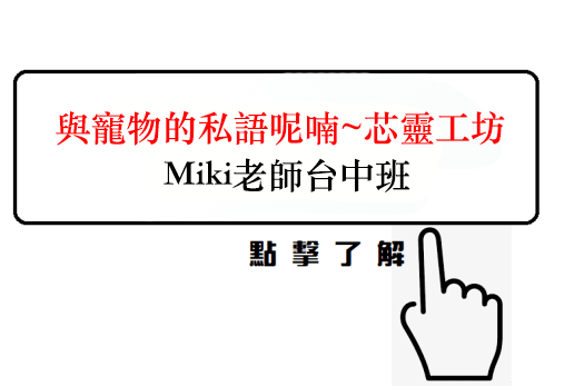 動物溝通師、芯靈工坊、Miki