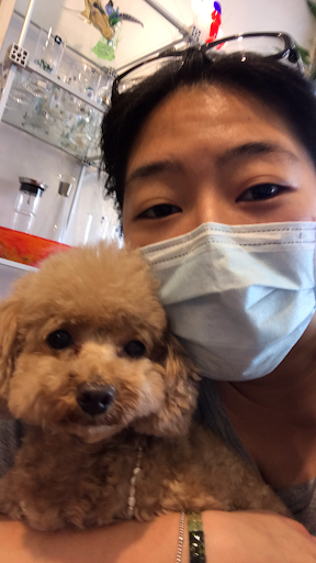 寵物溝通推薦、寵物溝通師、胡雅涵(皮姊)