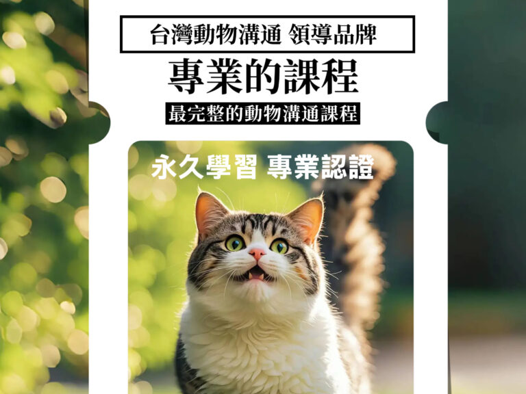 最完整的動物溝通課程、雙心理師、溝通課程