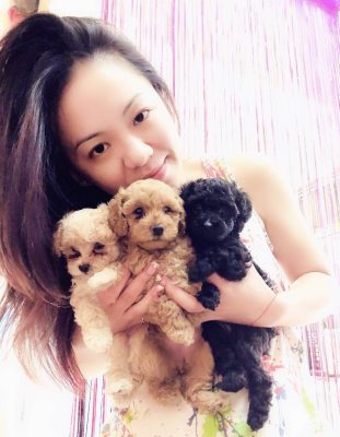 寵物溝通推薦、寵物溝通師、紫云(kami)