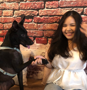 寵物溝通推薦、寵物溝通師、Nini