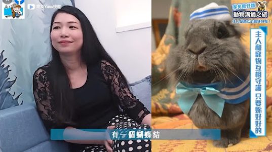 寵物溝通、動物溝通之旅、黃孟寅